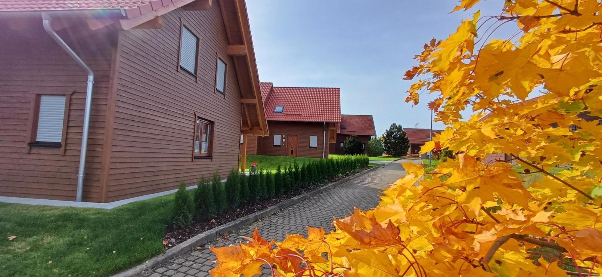 Premiumferienhaus Bhakti Hasselfelde Ngoại thất bức ảnh